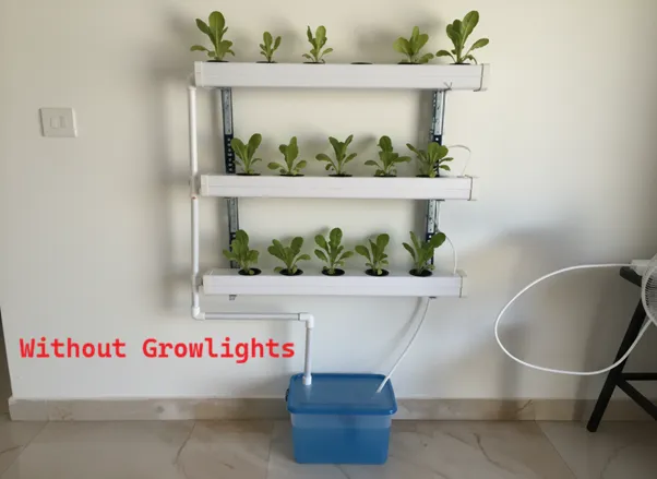 nft wall mounted - labeled.webp