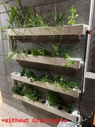 nft wall mounted (2) - labeled.webp
