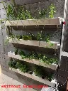 nft wall mounted (2) - labeled.webp