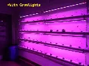 nft wall mounted with grow lights (2) - labeled.webp