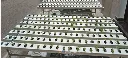 nft linear 5.webp