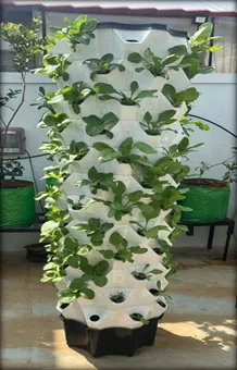Pineapple Grow Tower (64 Planter) (With Growlights)