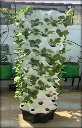 Pineapple Grow Tower (64 Planter)