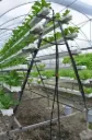 NFT A Frame (36 Planter)