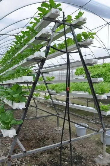NFT A Frame (48 Planter)