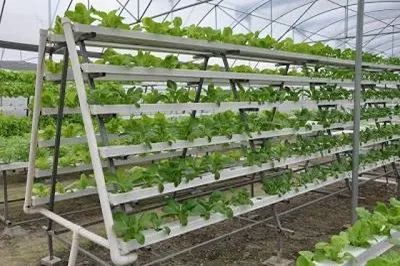 NFT A Frame (100 Planter)