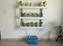 NFT Wall Mounted (30 Planter)