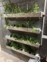 NFT Wall Mounted (100 Planter)